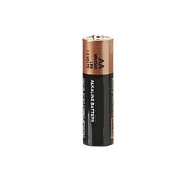 AA Battery